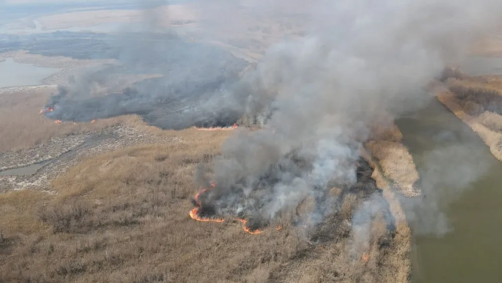 Площадь пожара в Астраханском биосферном заповеднике выросла до 1 тыс. га