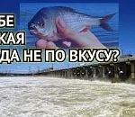 Вот тебе и полка: для Астраханской области новый график сброса воды вновь не на пользу местным рыбам