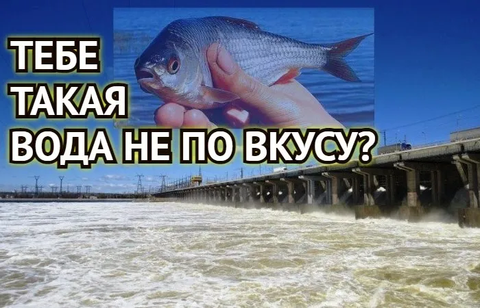 Вот тебе и полка: для Астраханской области новый график сброса воды вновь не на пользу местным рыбам