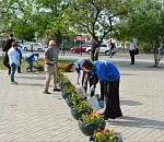 Астраханцы высадили тысячу цветов в память о жертвах теракта в «Крокусе»