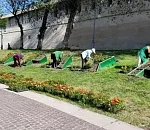 В Астрахани на улицы вышли косари и озеленители