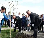 В Астрахани летчик-космонавт и губернатор высадили деревья 